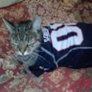 Meet your Posher, Jocelyn